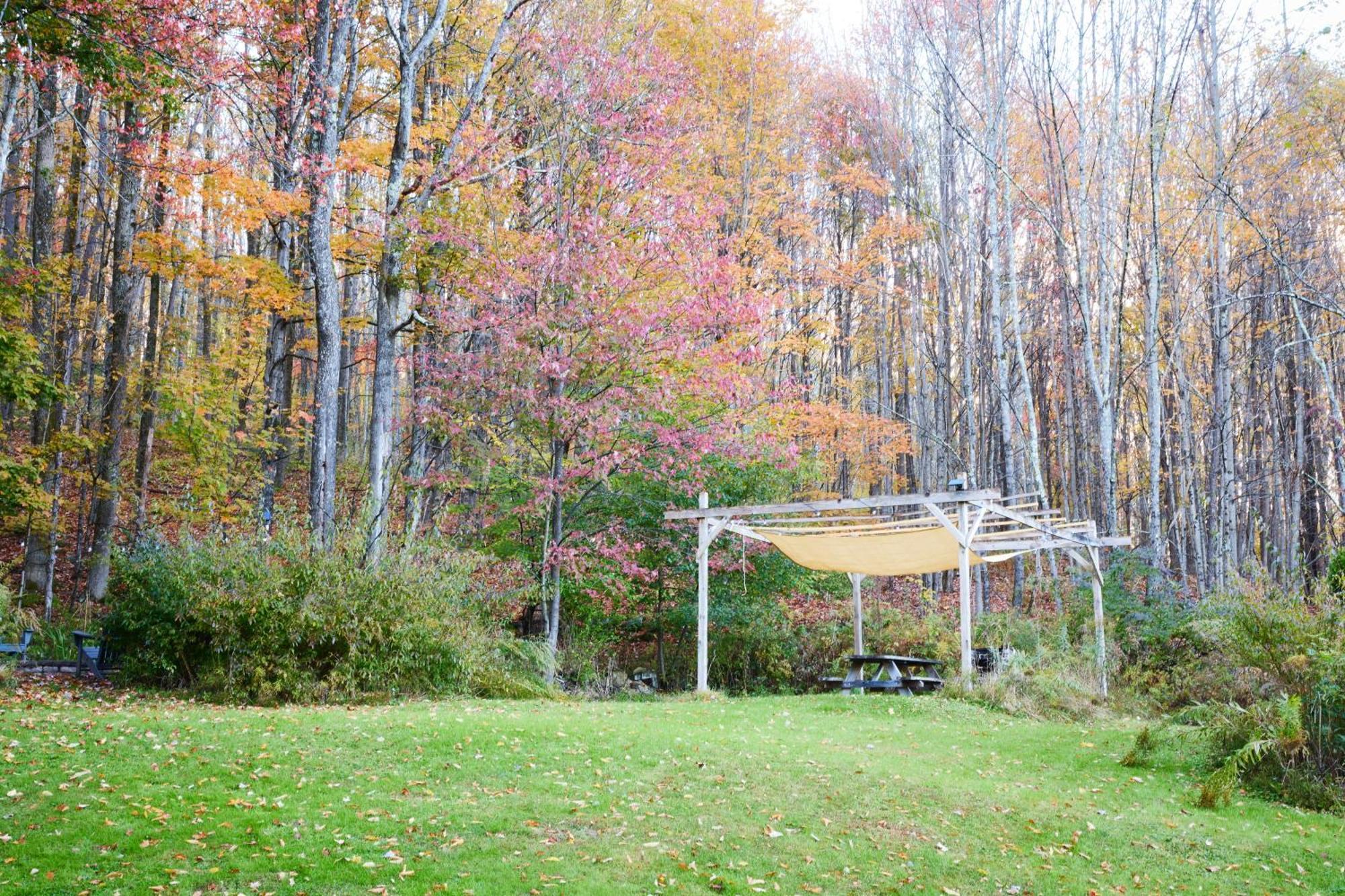 Cozy Cottage With Jacuzzi And Fire Pit And Reading Nook! Livingston Manor Luaran gambar